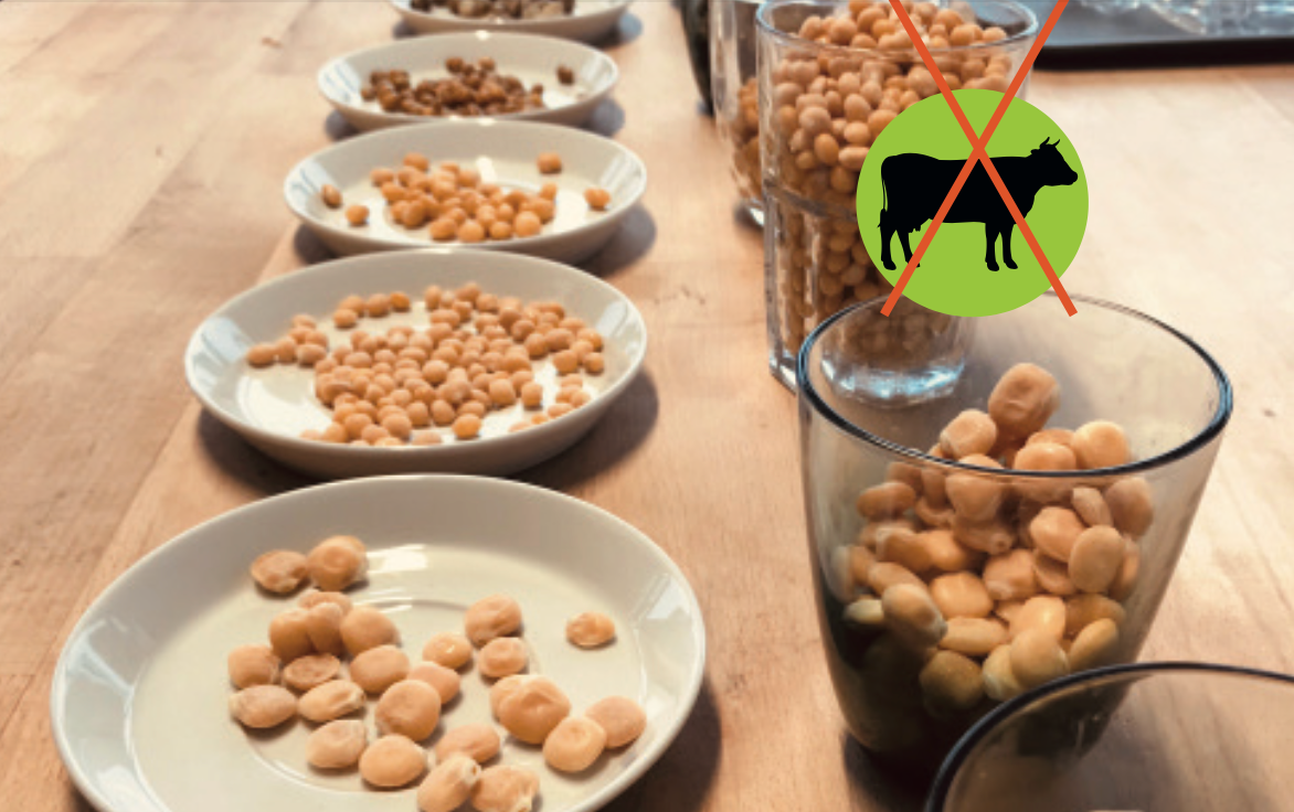 Volle Bohne, natürlicher Geschmack – Für sichere Einkommen unserer Nachkommen.