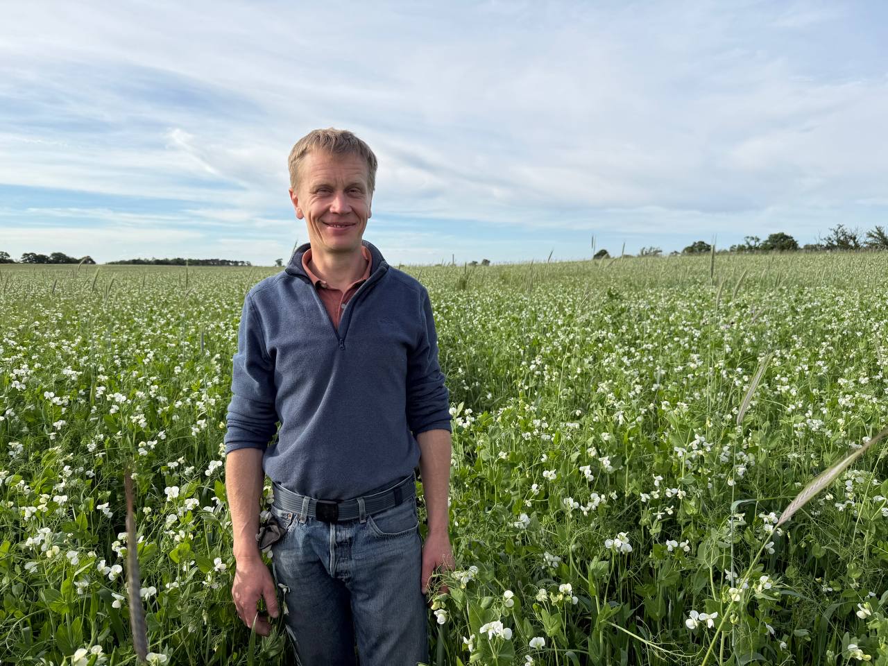 Warum die Industrie die Erbse "zerstückelt" – und wir sie ganz lassen.