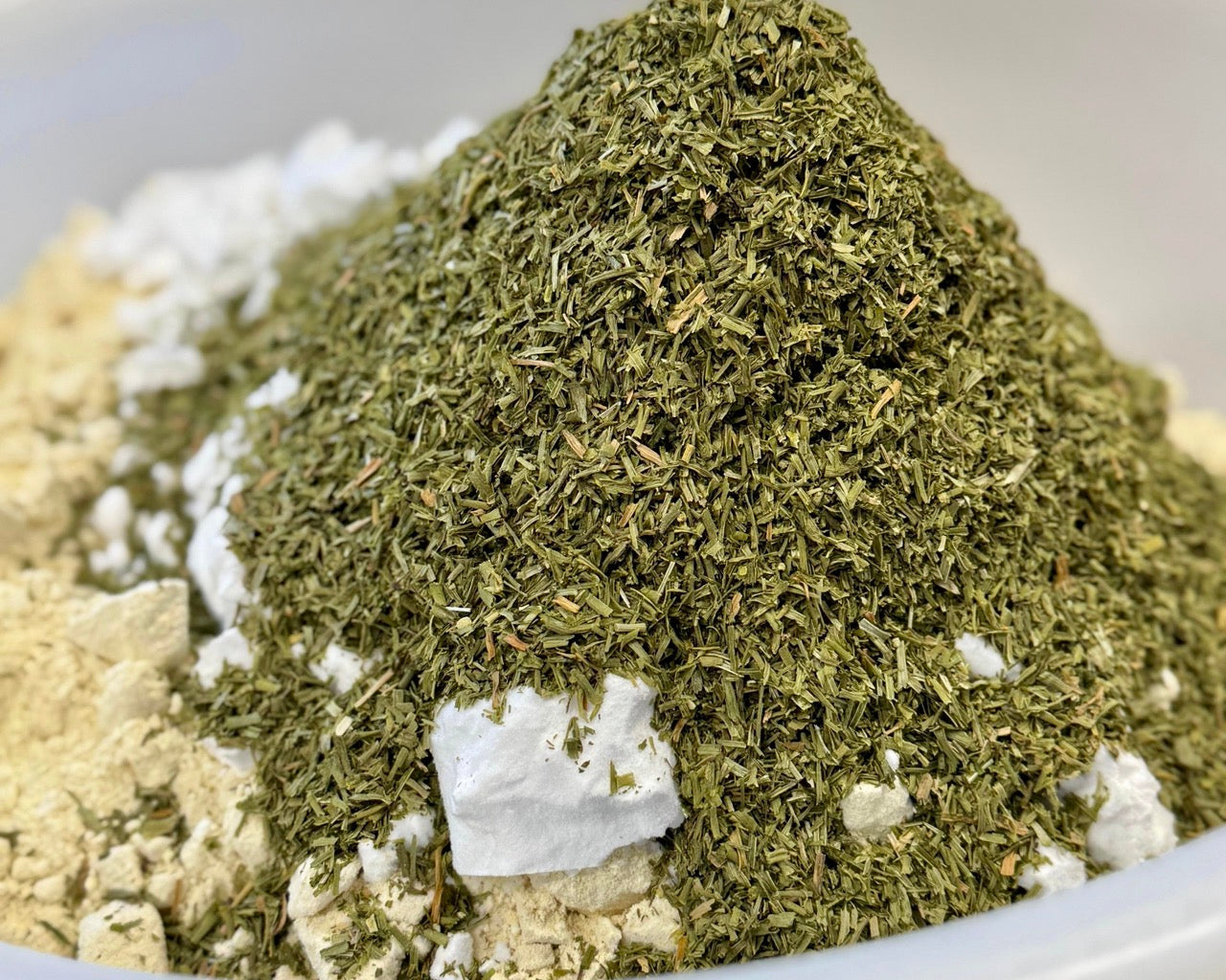 FRÜHLINGSERWACHEN: Warum jetzt die beste Zeit für Schnittlauch und Zell-Frühjahrsputz ist 🌱✨