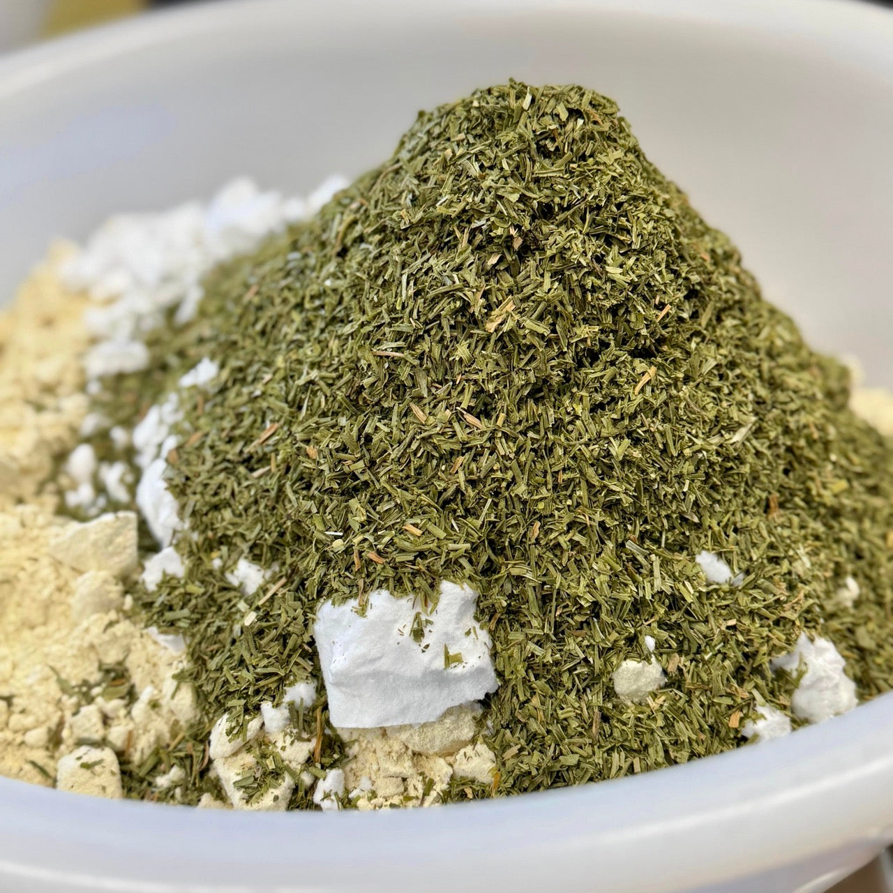 FRÜHLINGSERWACHEN: Warum jetzt die beste Zeit für Schnittlauch und Zell-Frühjahrsputz ist 🌱✨