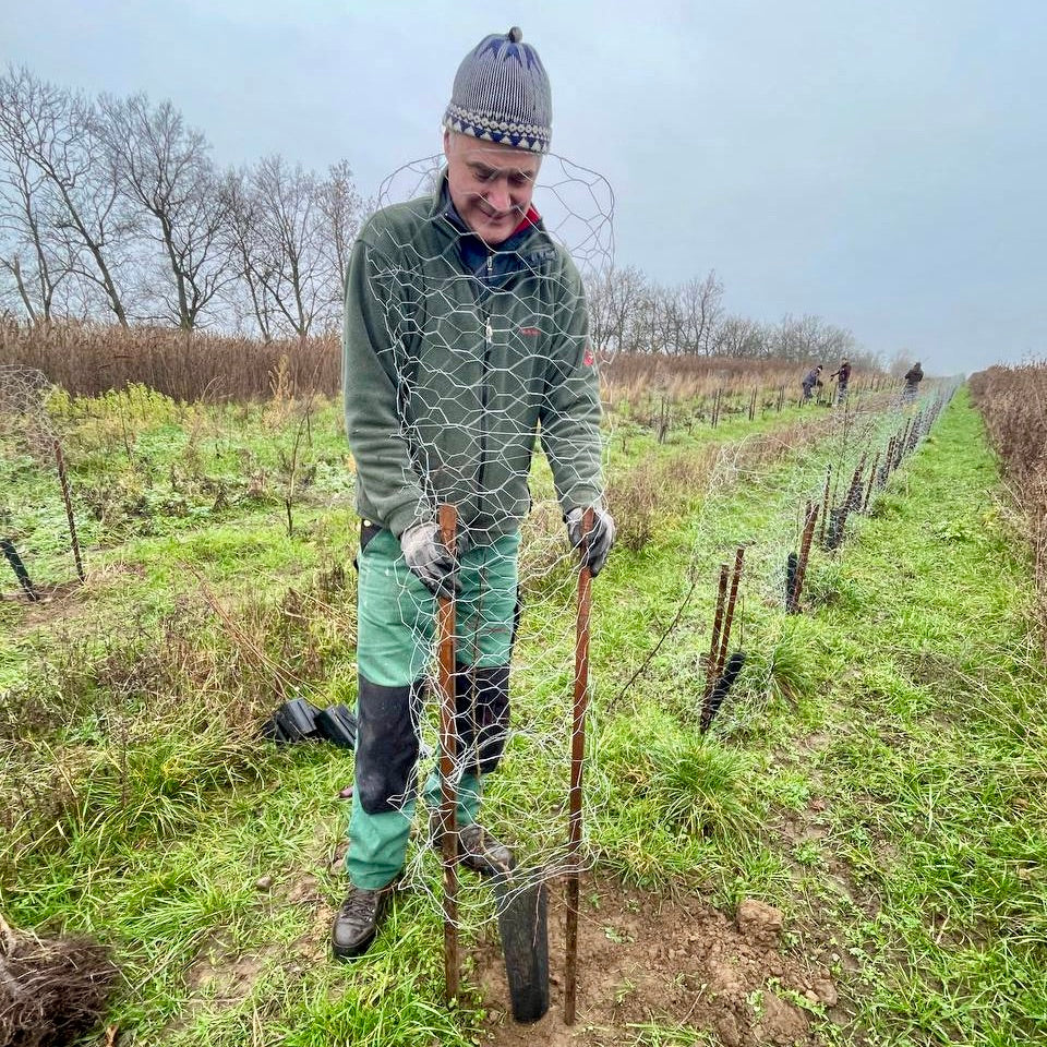 Matthias Quendt setzt ein Zeichen für die Zukunft: Baumpflanzen am neuen Standort in Jesewitz