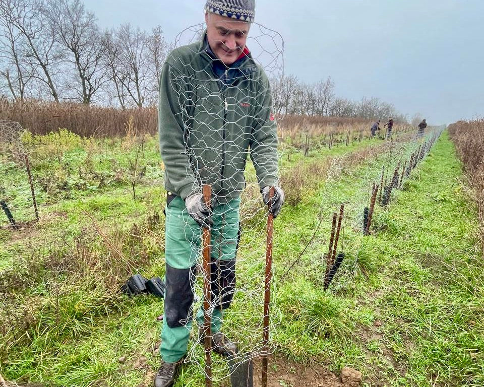 Matthias Quendt setzt ein Zeichen für die Zukunft: Baumpflanzen am neuen Standort in Jesewitz